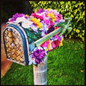 Flower Mailbox So Cal