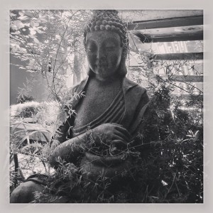 zen buddha photo by @sally_k