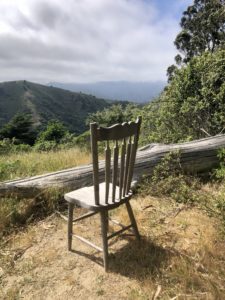 chair in nature